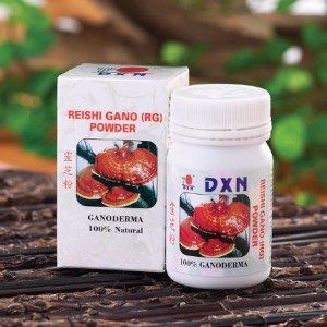 RG ganoderma por, Sopron